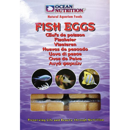 Fish eggs ocean nutrition