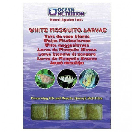 larva mosquito blanca ocean nutrition