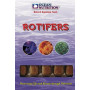 Rotiferos rotifers ocean nutrition
