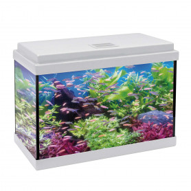 Kit aqualed 33 con filtro interior (33 l) Kit aqualed 33 con filtro interior (33 l)