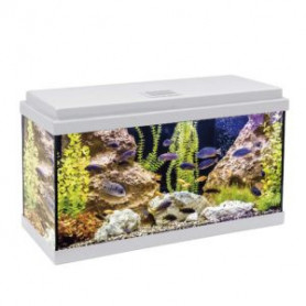 Kit aqualed 64 con filtro interior (64 l) Kit aqualed 60 con filtro interior (60 l) blanco