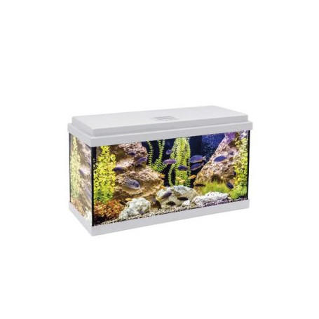 Kit aqualed 60 con filtro interior (60 l) blanco