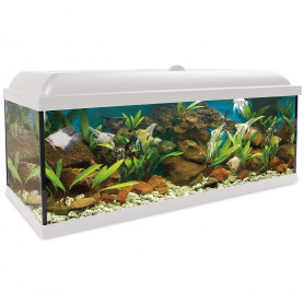 Kit aqua led pro 240 Kit AQUA-LED PRO 240 con filtro exterior (240 l) blanco