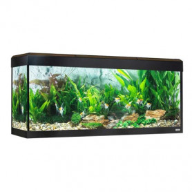 Fluval Roma 240 nogal con Iluminación LED Bluetooth Fluval Roma 240 nogal con Iluminación LED Bluetooth