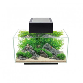 Acuario Fluval Edge 2.0 - Negro 23lts Acuario Fluval Edge 2.0 - Negro 23lts