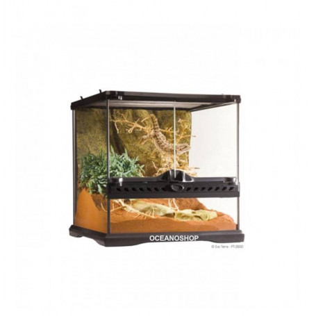 TERRARIO DE CRISTAL REPTILES MINI WIDE 30x30x30cm Exo Terra