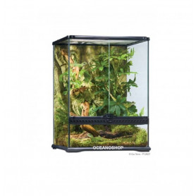 TERRARIO DE CRISTAL REPTILES PEQUEÑO TALL 45x45x60cmExo Terra TERRARIO DE CRISTAL REPTILES PEQUEÑO TALL 45x45x60cmExo Terra