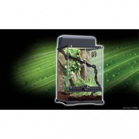 KIT TERRARIO TROPICAL DE VIDRIO PARA REPTILES Pequeño 30X30x45 cm Exo Terra