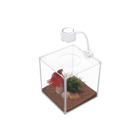 Bettera Cubus Cristal MARINA 3,4 l