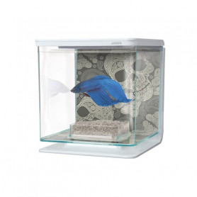Kit Betta 2 litros MARINA calavera Kit Betta 2 litros MARINA calavera