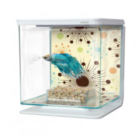 Kit Betta 2 litros MARINA Fireworks Kit Betta 2 litros MARINA Fireworks