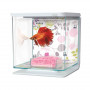 Kit Betta 2 litros MARINA Floral