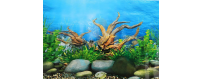 Fondos decorativos para acuarios | Oceanoshop Decoración