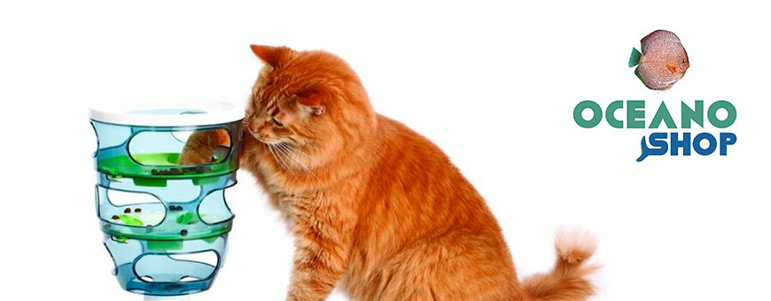 Juguetes para Gatos | Interactivos, con Catnip y Más