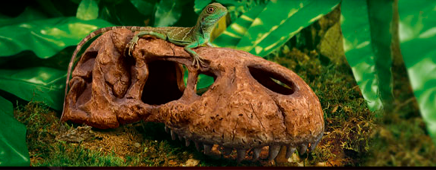 Decoración para terrarios y reptiles | Oceanoshop