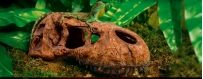 Decoración para terrarios y reptiles | Oceanoshop