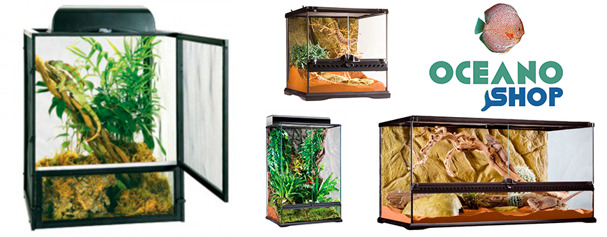 Terrarios para reptiles al mejor precio | Oceanoshop