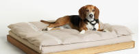 Camas para perros | Comodidad y descanso en Oceanoshop