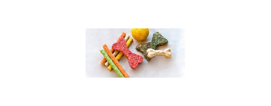 Golosinas para Perros | Snacks, Premios y Huesos Masticables