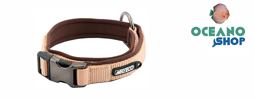 Collares para Perros | Ajustables, Antiparasitarios y Más