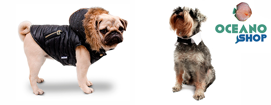 Ropa para perros