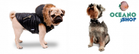 Ropa para Perros | Abrigos, Sudaderas y Más