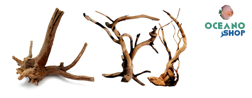 Troncos naturales para acuarios | Decoración para tu Acuario