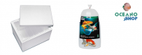 Transporte de Peces | Bolsas, Cajas y Accesorios Seguros
