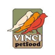 VINCI